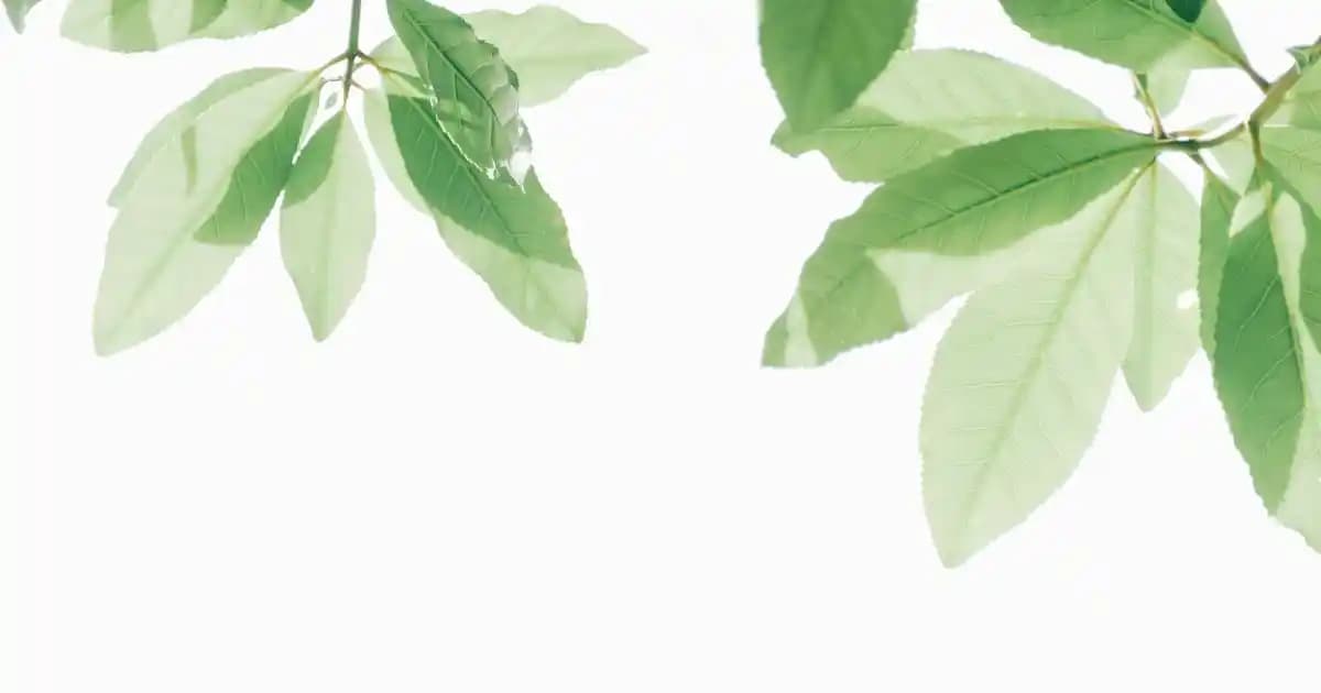 2025'te Ülker Cocostar ile Tatlı Krizlerinizi Kolayca Çözün