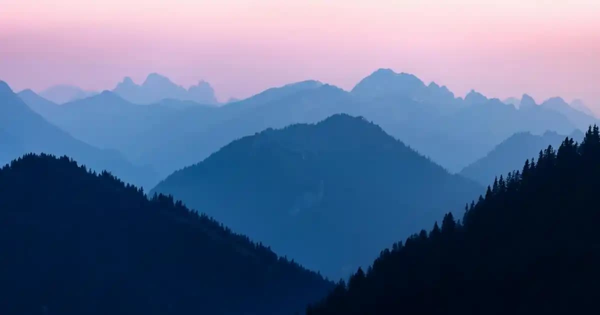 Under Armour Terlikler: Konfor ve Performans Sunan Modellerle Günlük Hayatınızı Kolaylaştırın