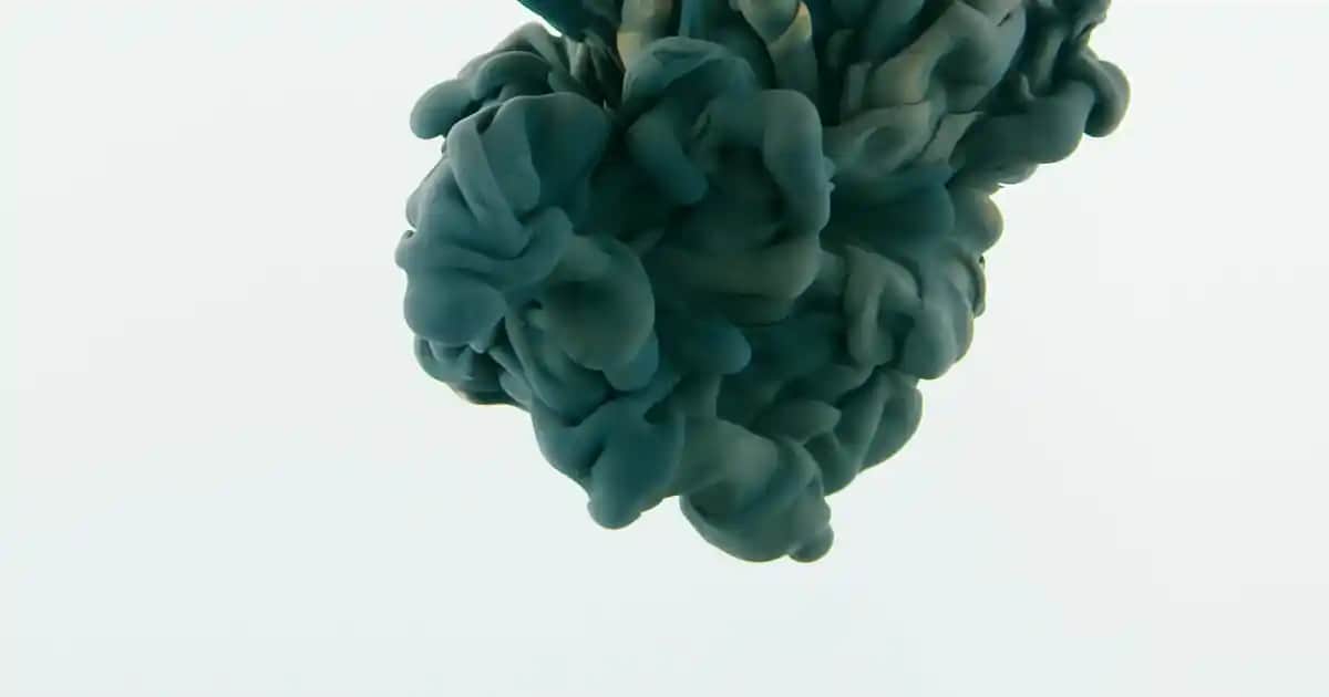 Vanilya Paketleri ve Gramajları Hakkında Bilmeniz Gerekenler