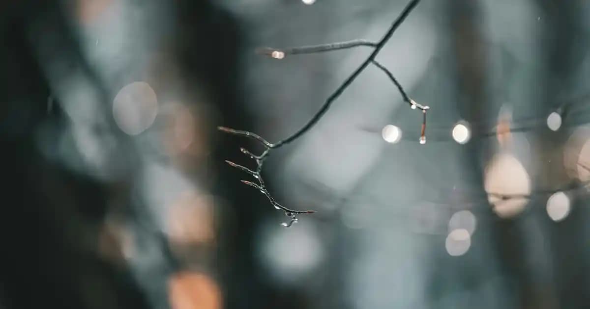 Venüs Mor Jilet: Kadınlar İçin Pürüzsüz ve Güvenilir Tıraş Deneyimi Sunar