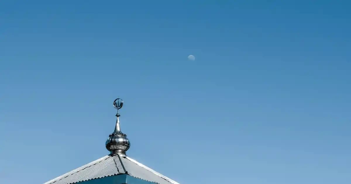 2025'te Yaban Mersiniyle Sağlığınızı Değiştirecek 5 Sır