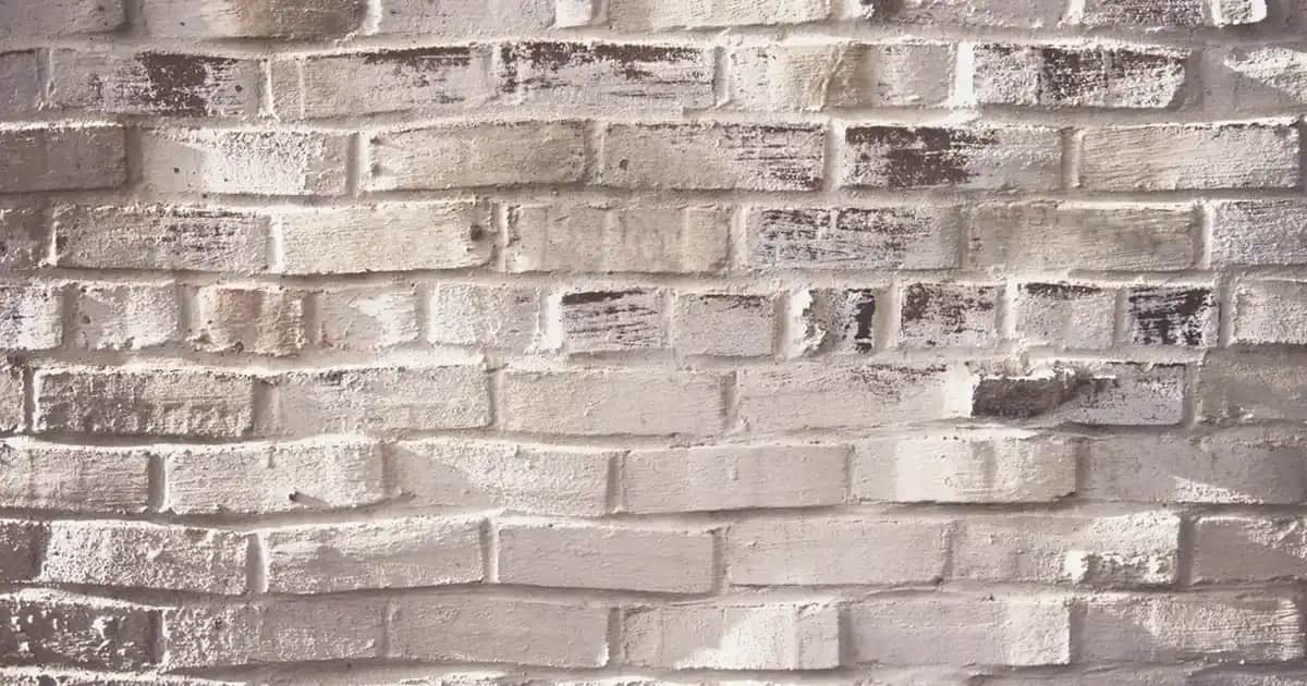 Yağlı Saçlar ve Kepeğe Karşı Vichy Dercos Anti-Dandruff Şampuanı Çözümü