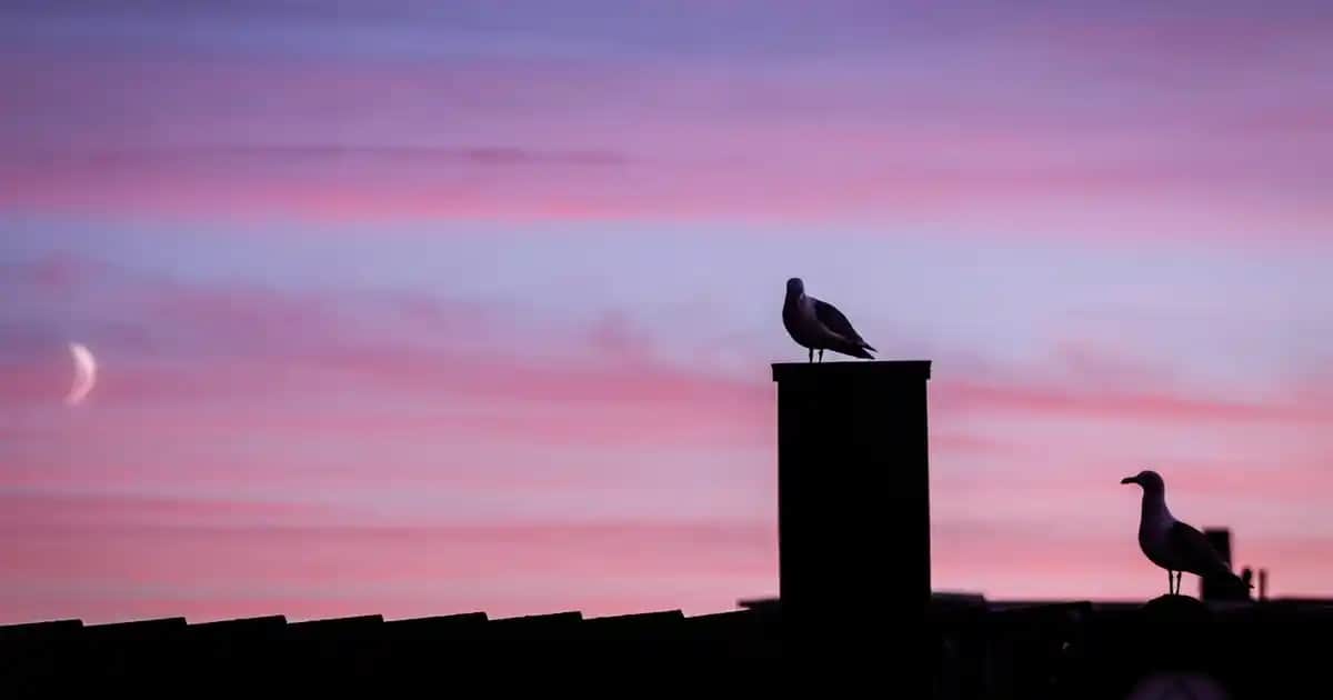 Yarım Kilo Yoğurt: Sağlıklı Beslenmede Günlük Kullanım ve Faydaları