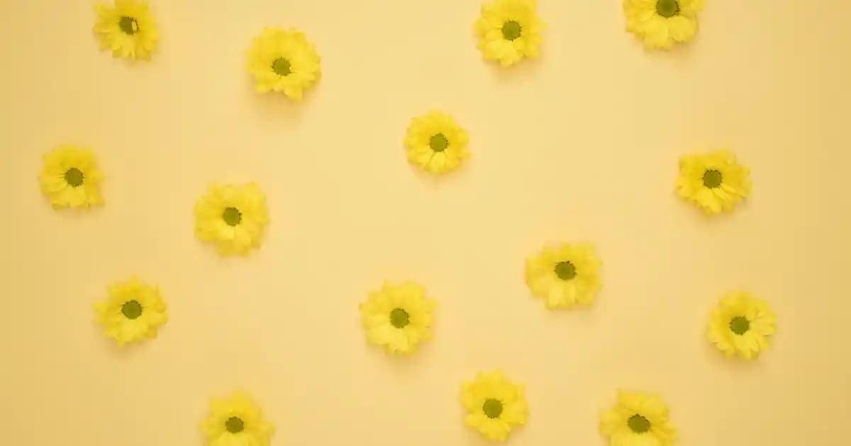 Yatay Bisiklet Nedir? Konfor ve Verimlilik Sunan Egzersiz Aleti Özellikleri