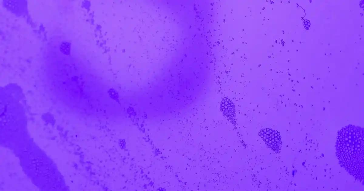 Yenilebilir Simler ile Tatlı Dekorasyonunda Yenilikçi Trendler ve Güvenli Kullanım İpuçları