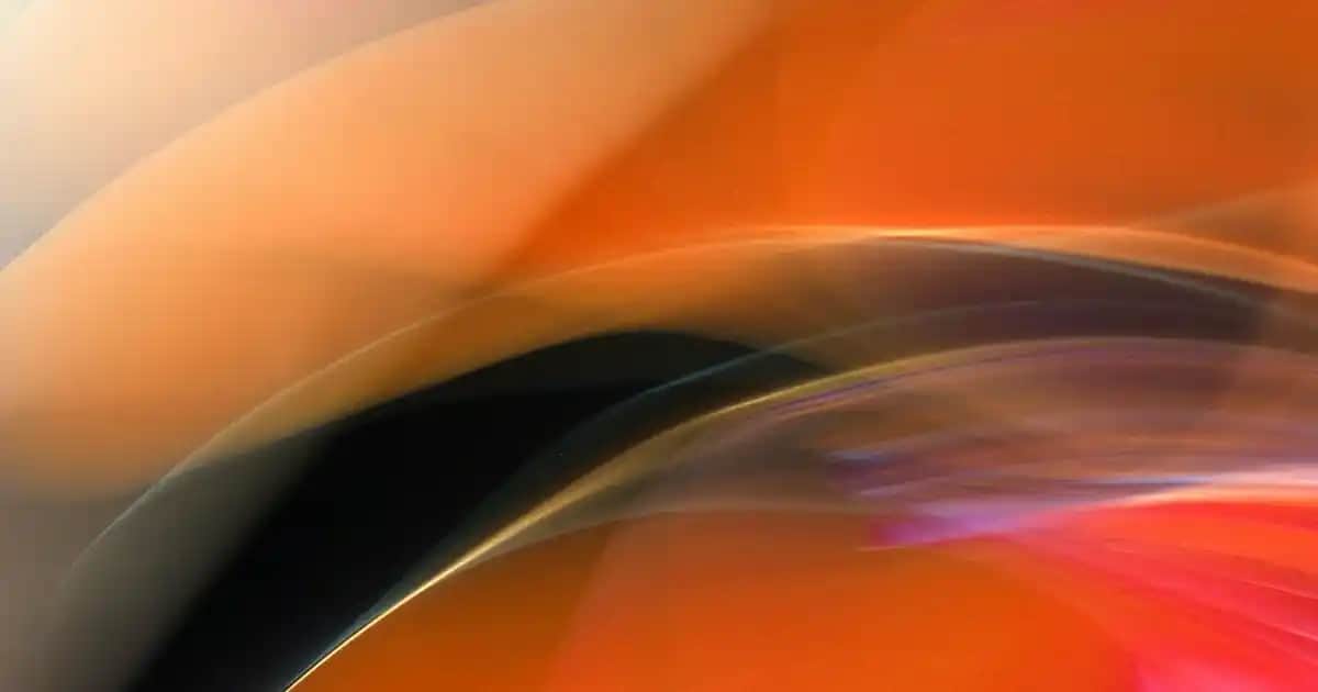 Yöresel Türk Peynirleri: Geleneksel Lezzetler ve Kültürel Mirasın Zenginliği